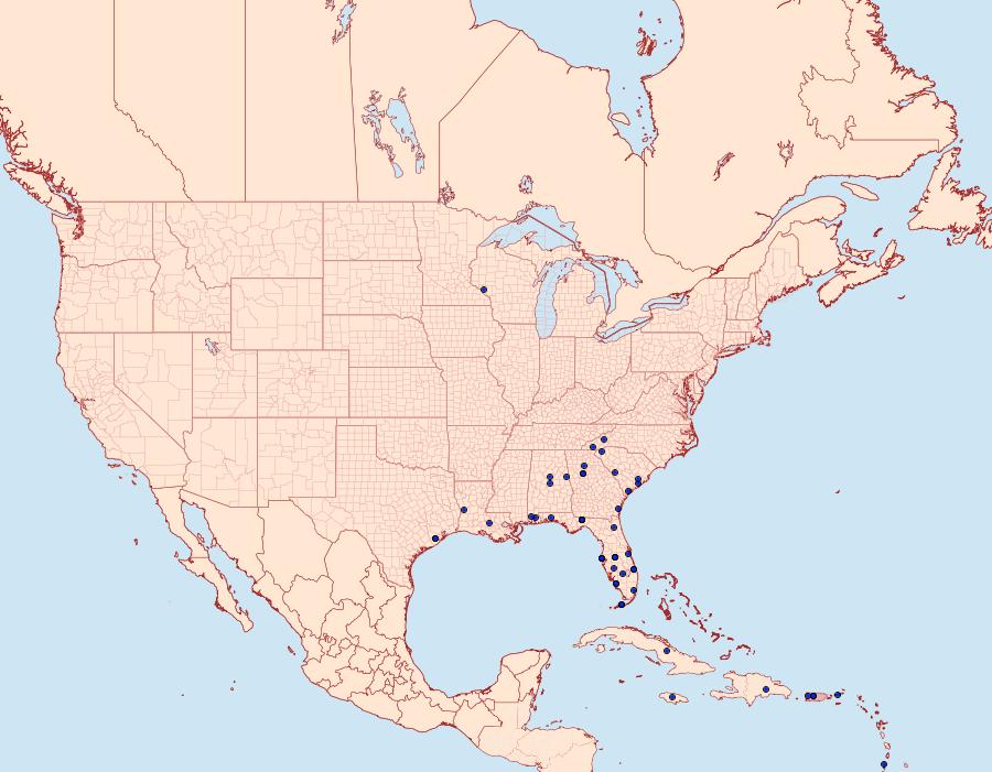 Distribution Data for Glyphodes sibillalis