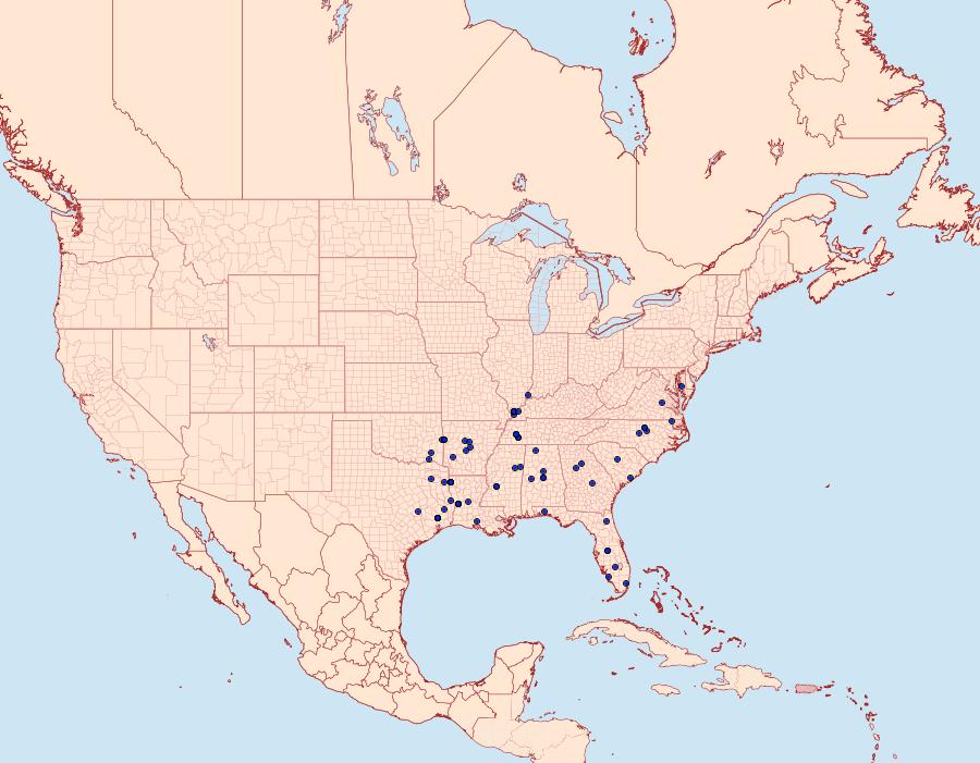 Distribution Data for Colomychus talis