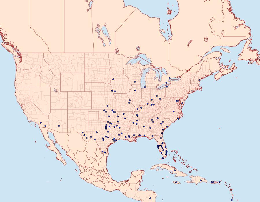 Distribution Data for Diaphania hyalinata