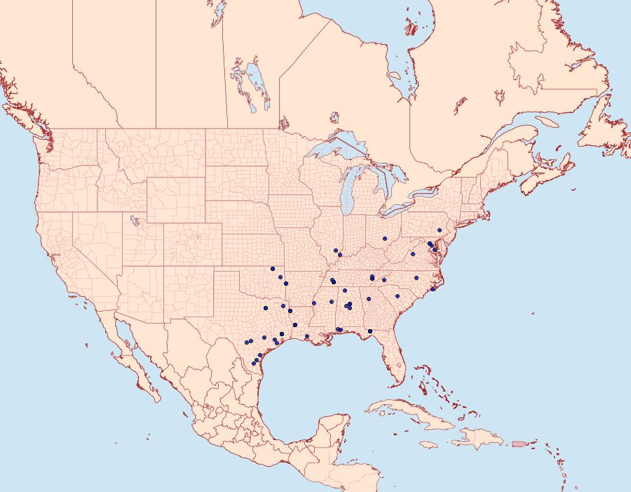 Distribution Data for Palpita freemanalis