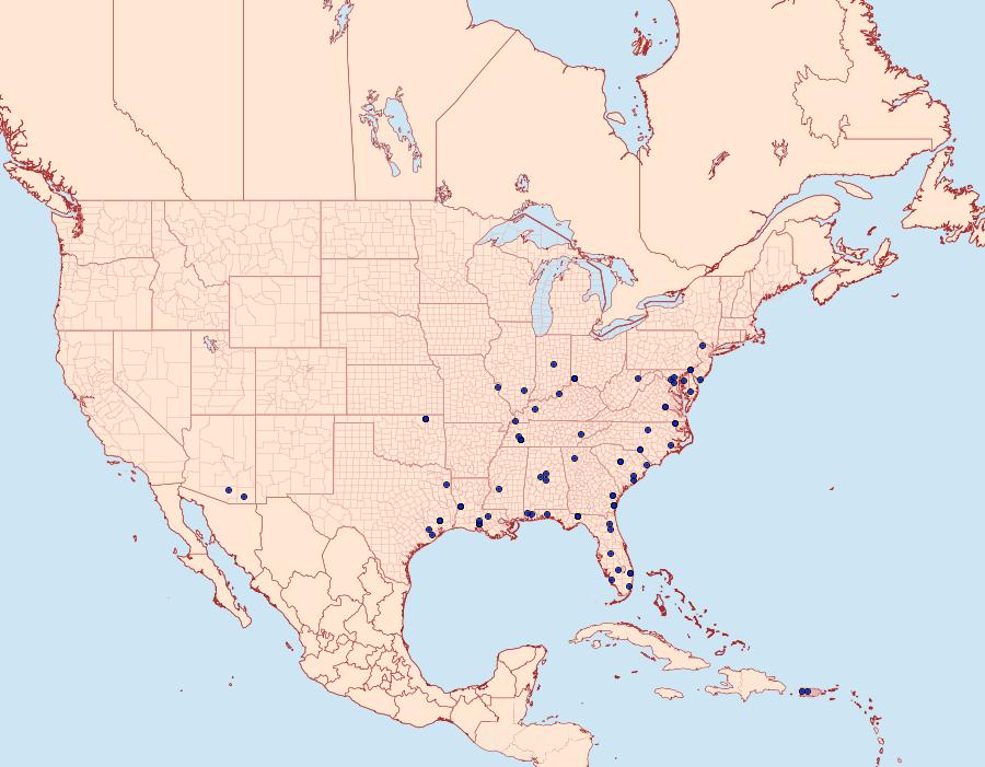 Distribution Data for Herpetogramma fluctuosalis