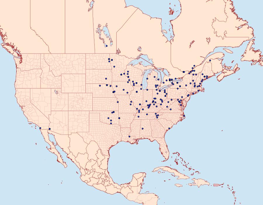 Distribution Data for Lygropia rivulalis