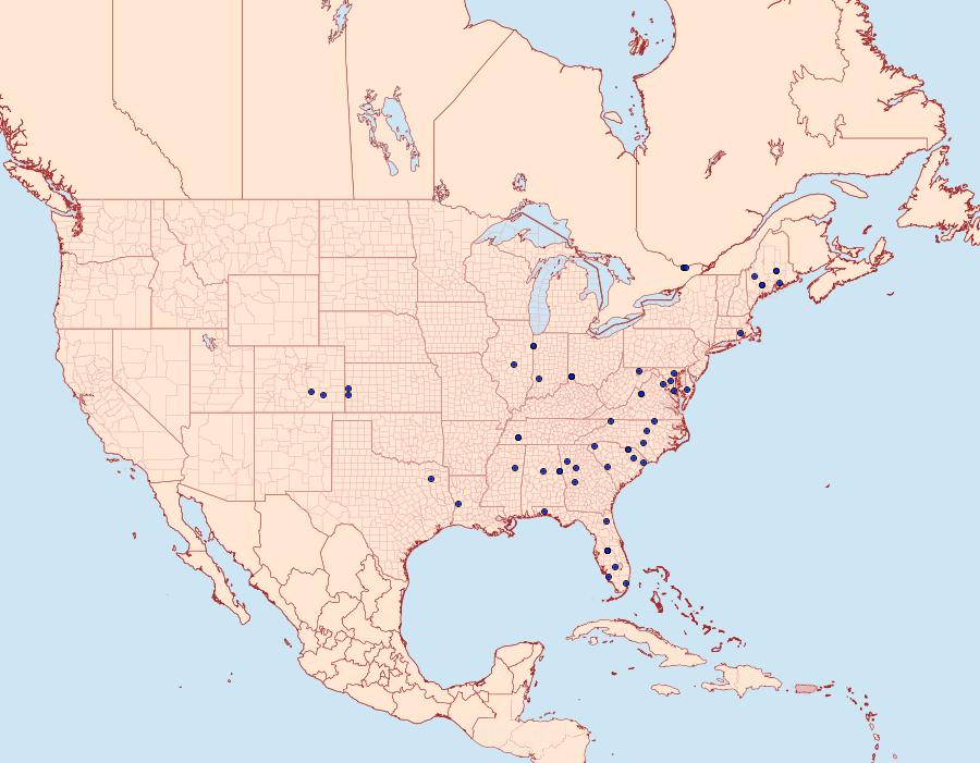 Distribution Data for Diastictis argyralis