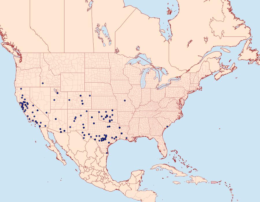 Distribution Data for Diastictis fracturalis