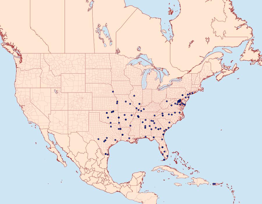 Distribution Data for Psara obscuralis