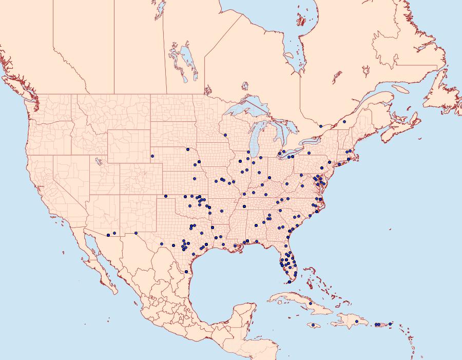 Distribution Data for Herpetogramma bipunctalis