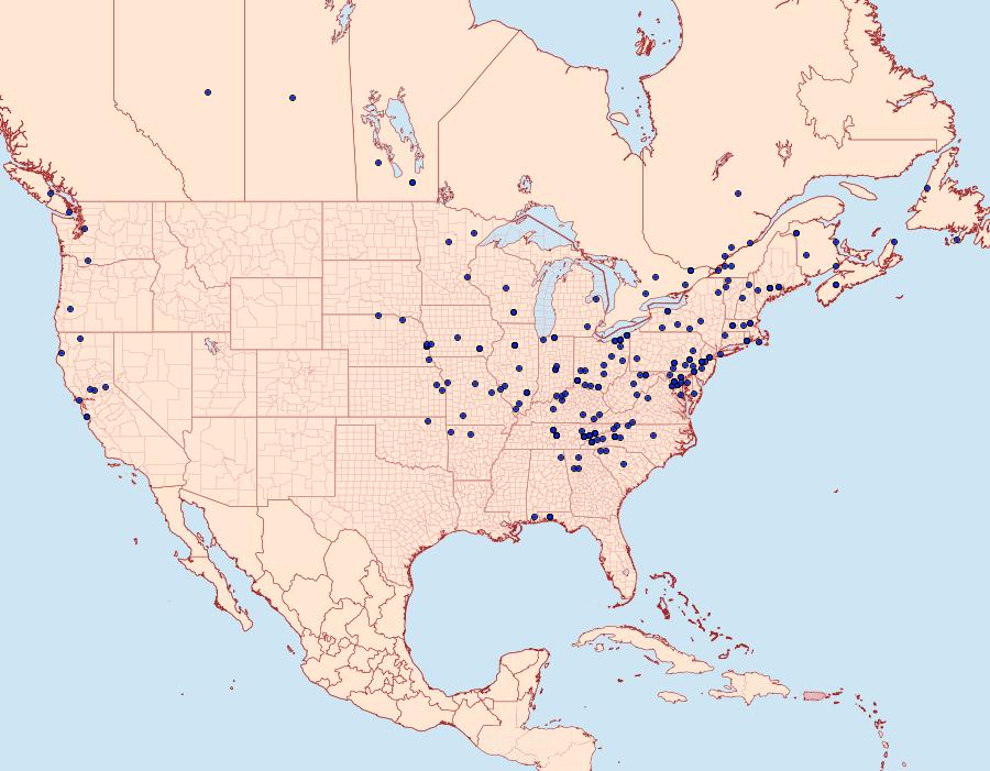 Distribution Data for Herpetogramma pertextalis