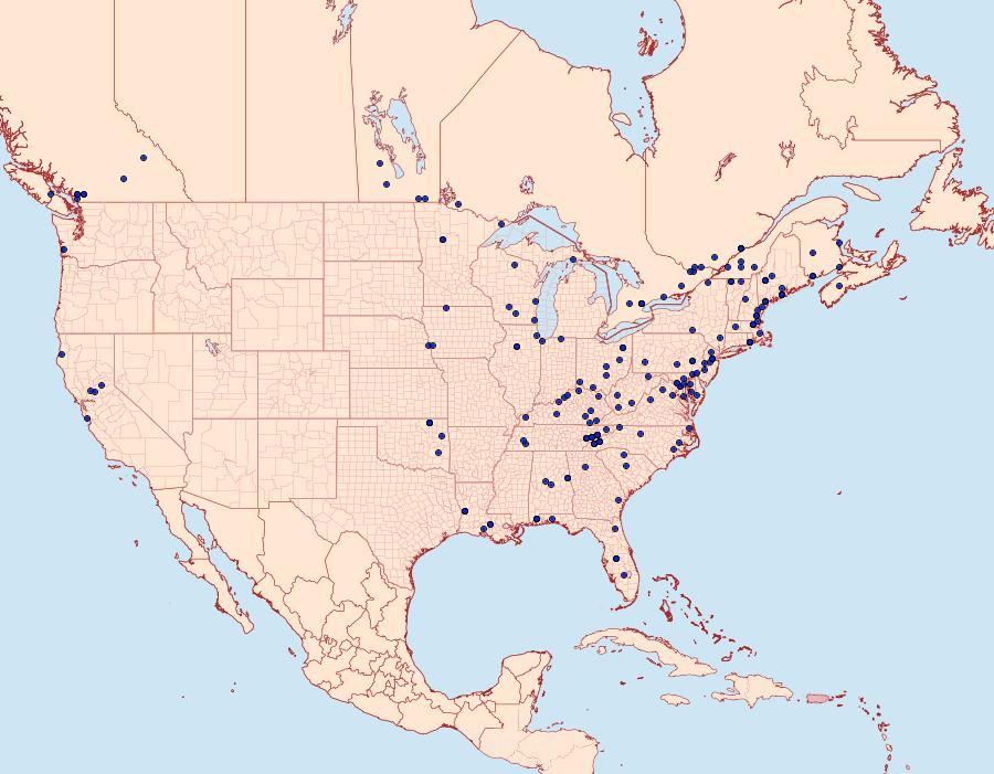 Distribution Data for Herpetogramma thestealis