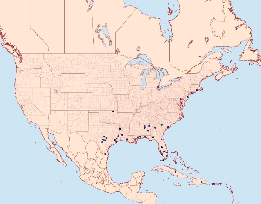 Distribution Data for Marasmia cochrusalis