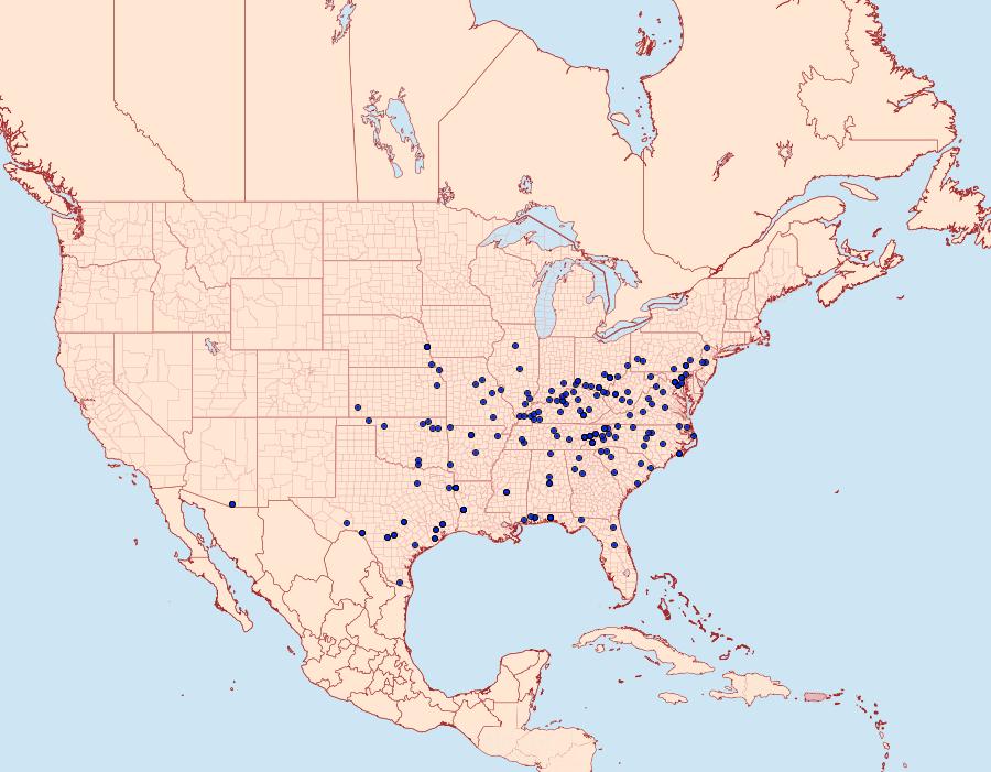 Distribution Data for Conchylodes ovulalis