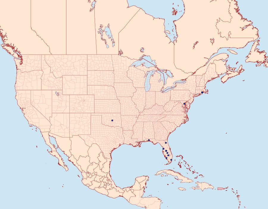 Distribution Data for Rupela sejuncta