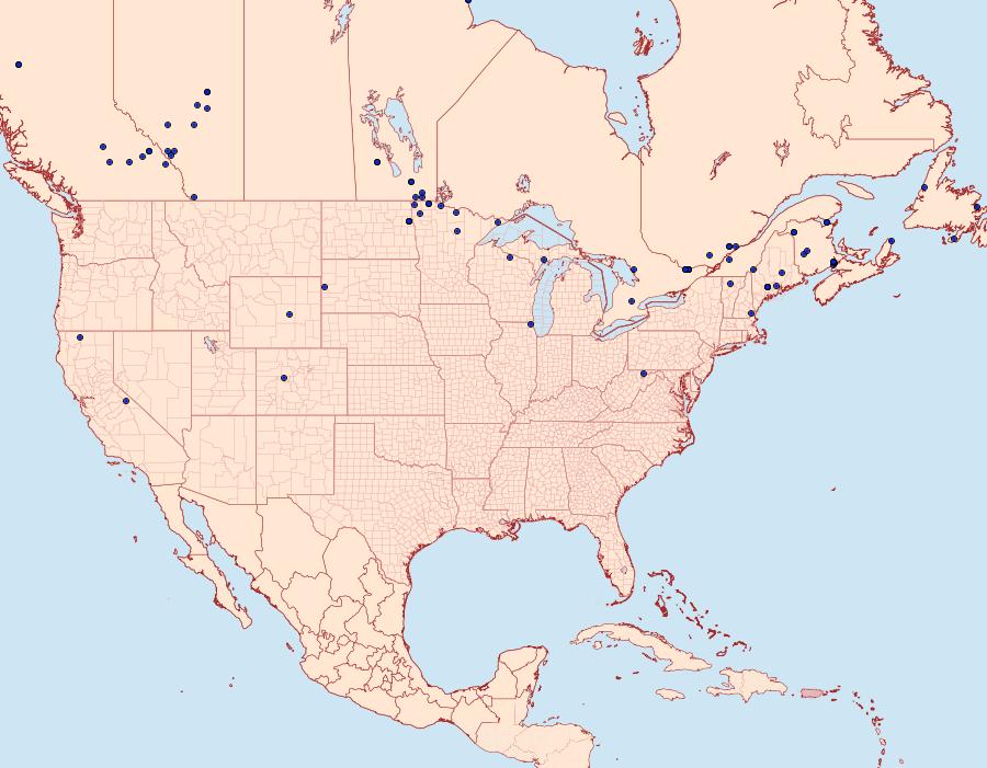 Distribution Data for Crambus perlella