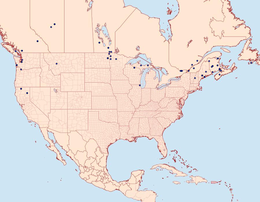 Distribution Data for Crambus unistriatellus