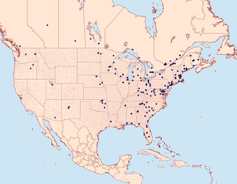 Distribution Data for Crambus praefectellus