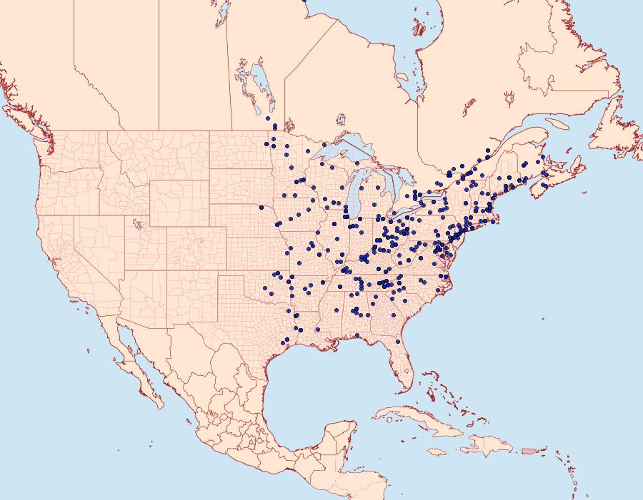 Distribution Data for Crambus agitatellus