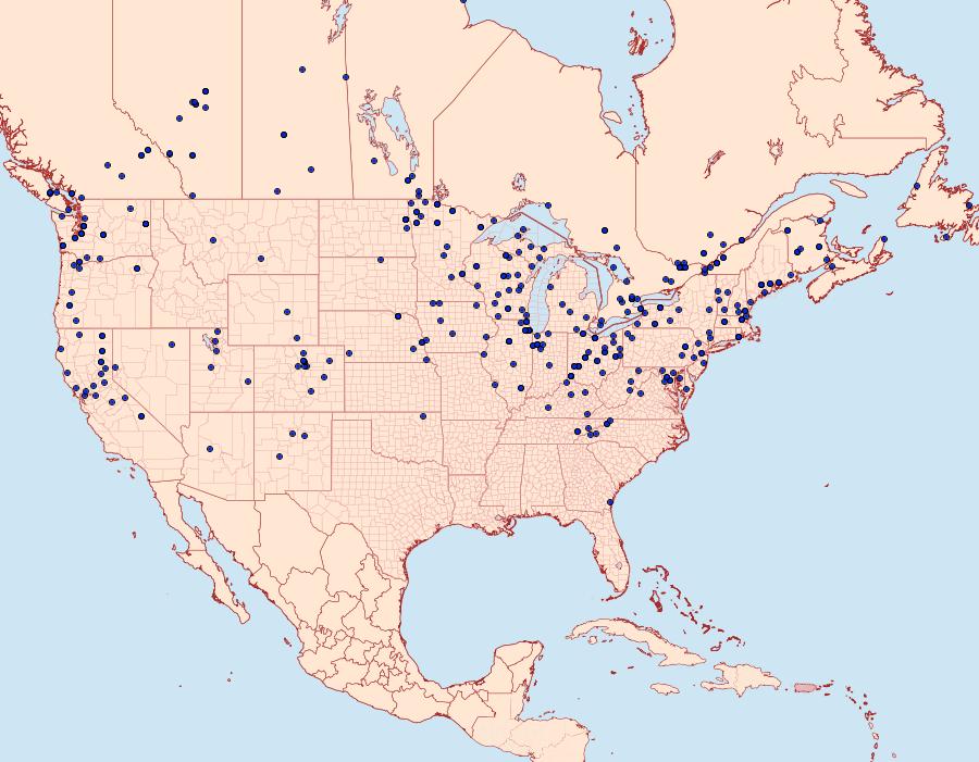 Distribution Data for Chrysoteuchia topiarius