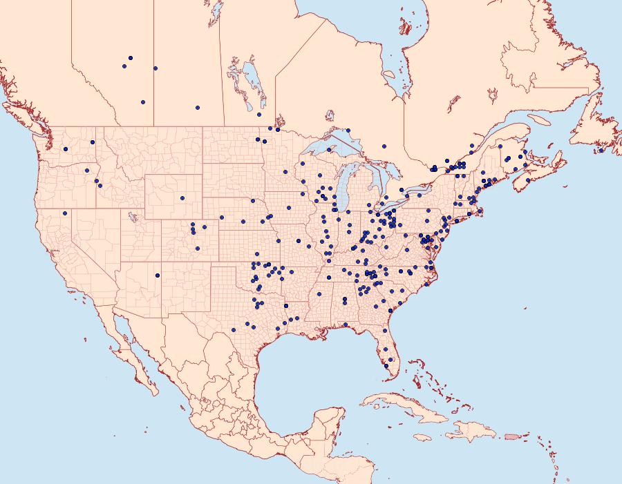 Distribution Data for Agriphila vulgivagellus