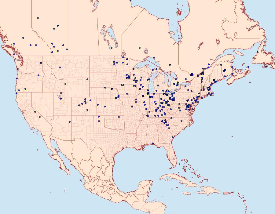 Distribution Data for Pediasia trisecta