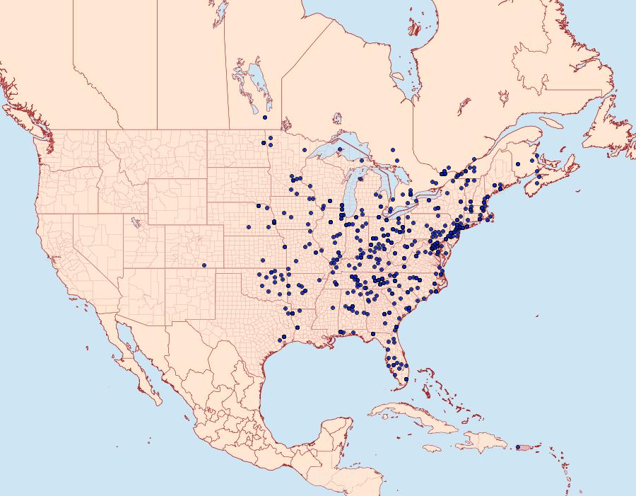 Distribution Data for Microcrambus elegans