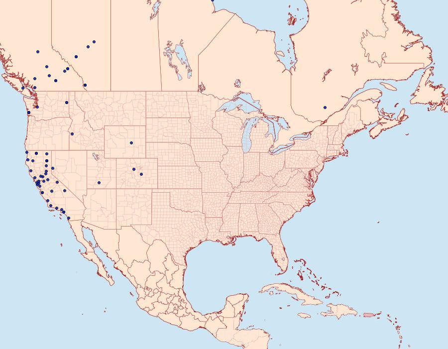 Distribution Data for Tehama bonifatella