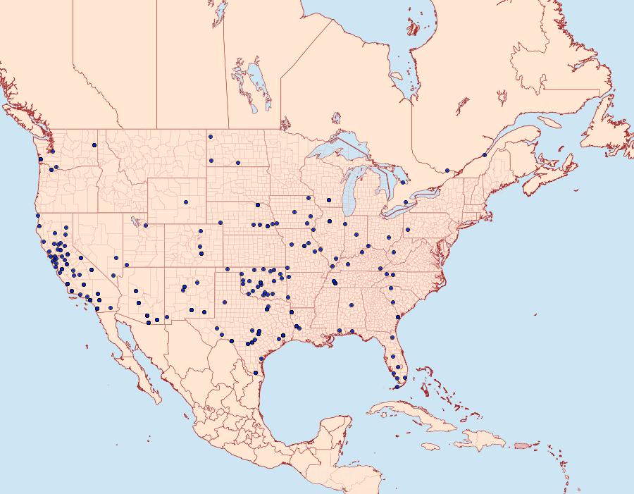 Distribution Data for Euchromius ocellea