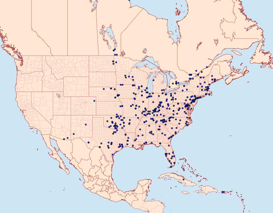 Distribution Data for Urola nivalis