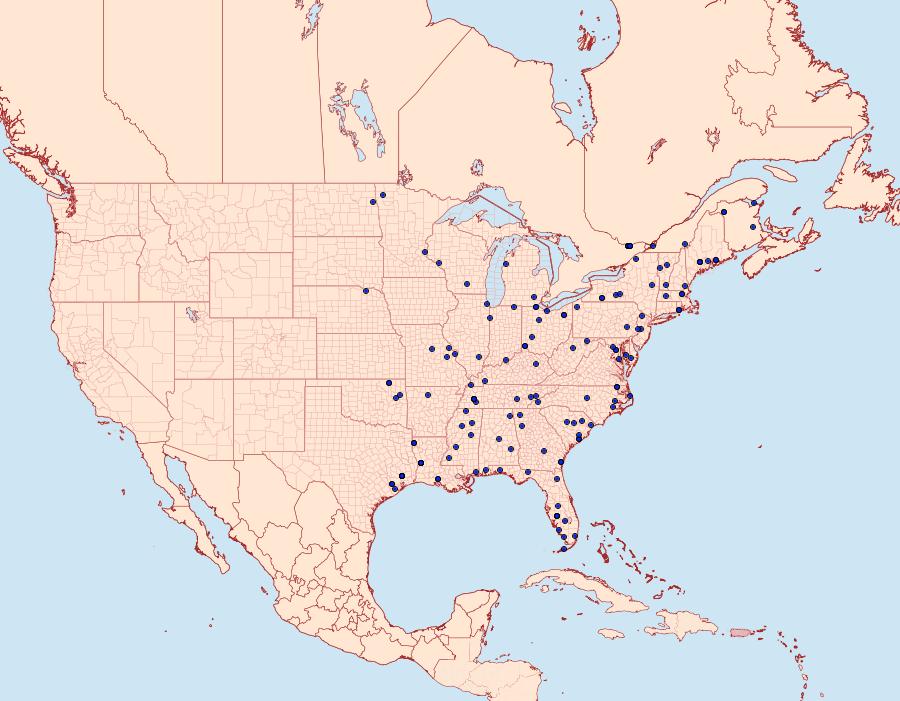 Distribution Data for Vaxi critica