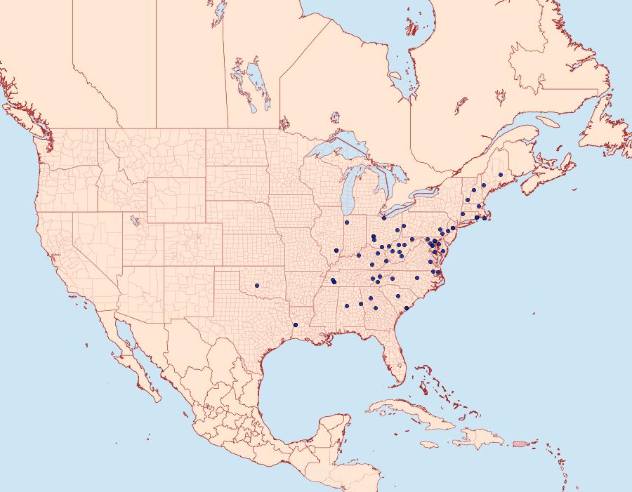 Distribution Data for Haimbachia placidellus