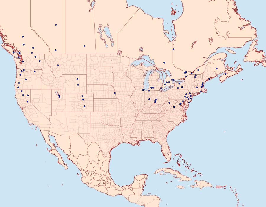 Distribution Data for Aglossa pinguinalis