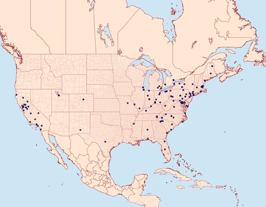 Distribution Data for Aglossa caprealis