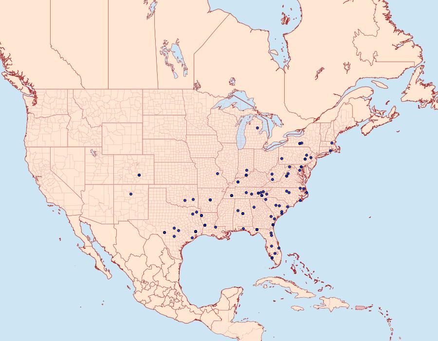 Distribution Data for Hypsopygia binodulalis