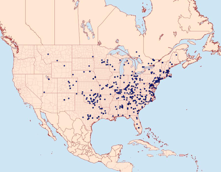 Distribution Data for Hypsopygia olinalis