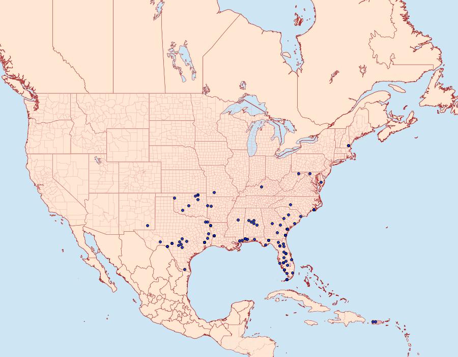 Distribution Data for Parachma ochracealis