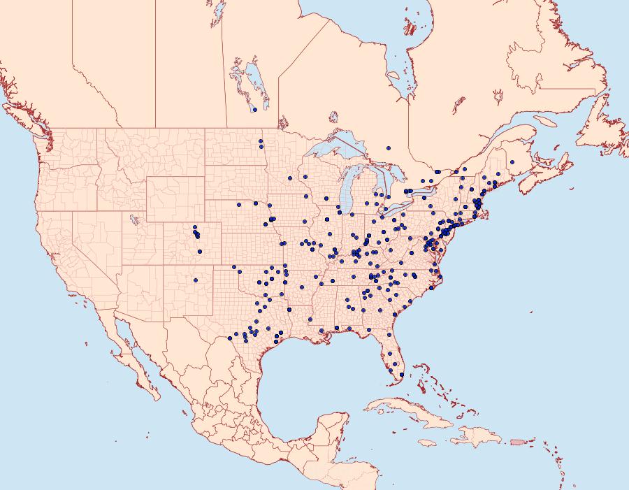 Distribution Data for Galasa nigrinodis