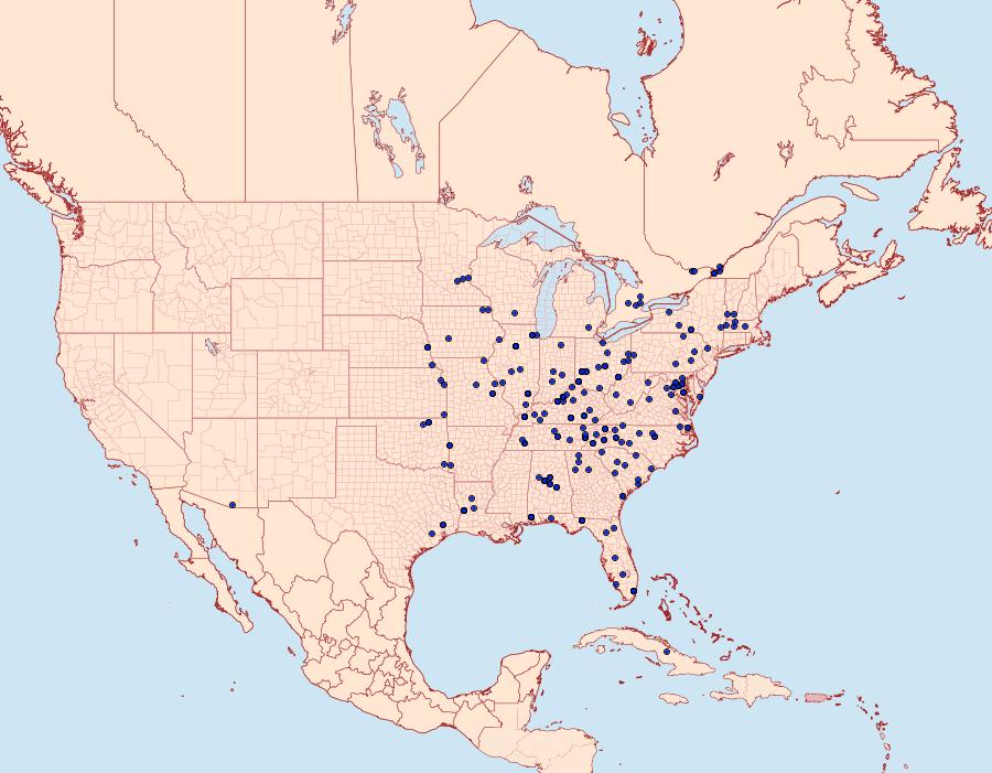 Distribution Data for Tosale oviplagalis