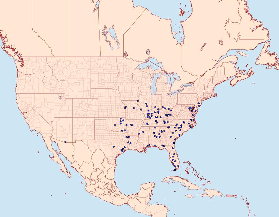 Distribution Data for Clydonopteron sacculana