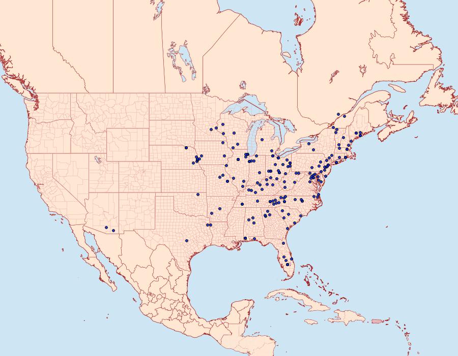 Distribution Data for Arta statalis