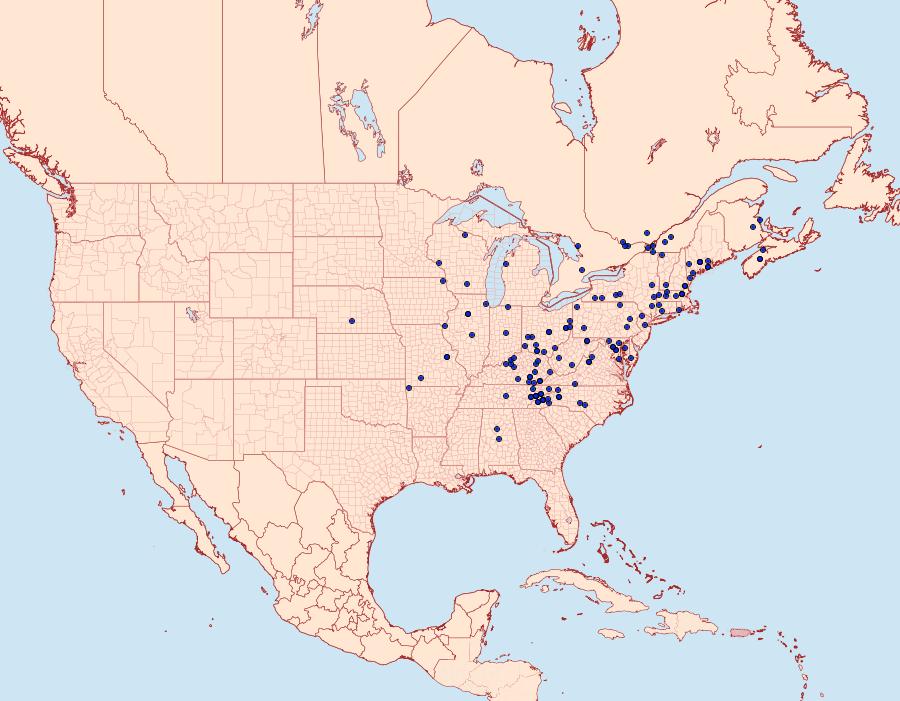 Distribution Data for Condylolomia participialis