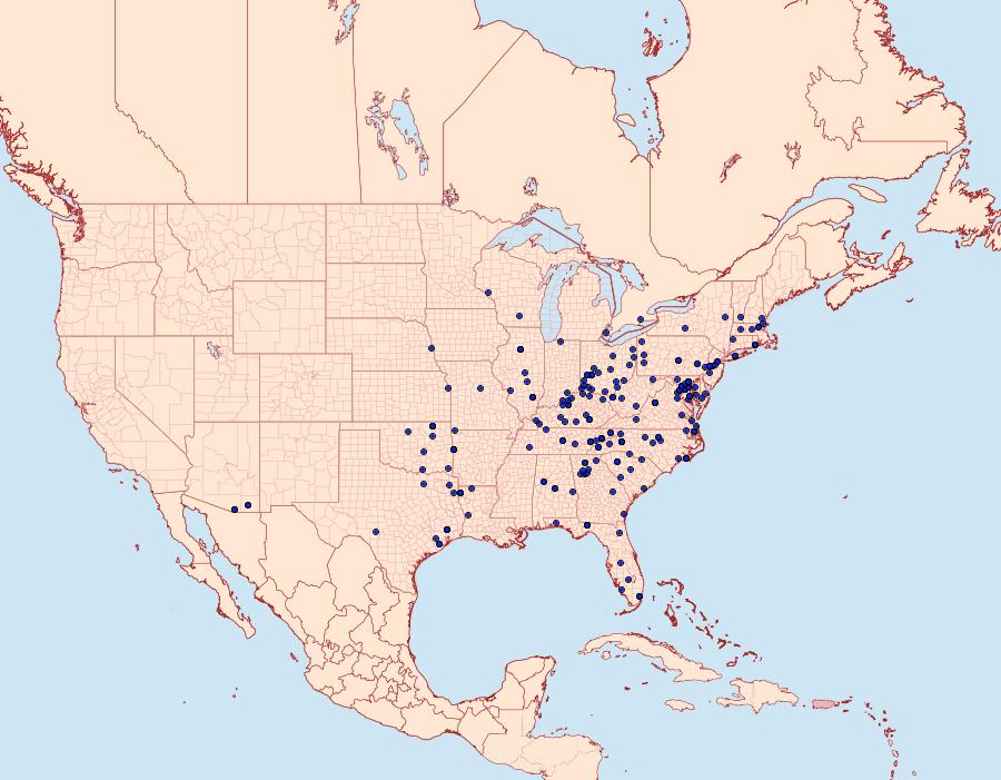 Distribution Data for Epipaschia superatalis