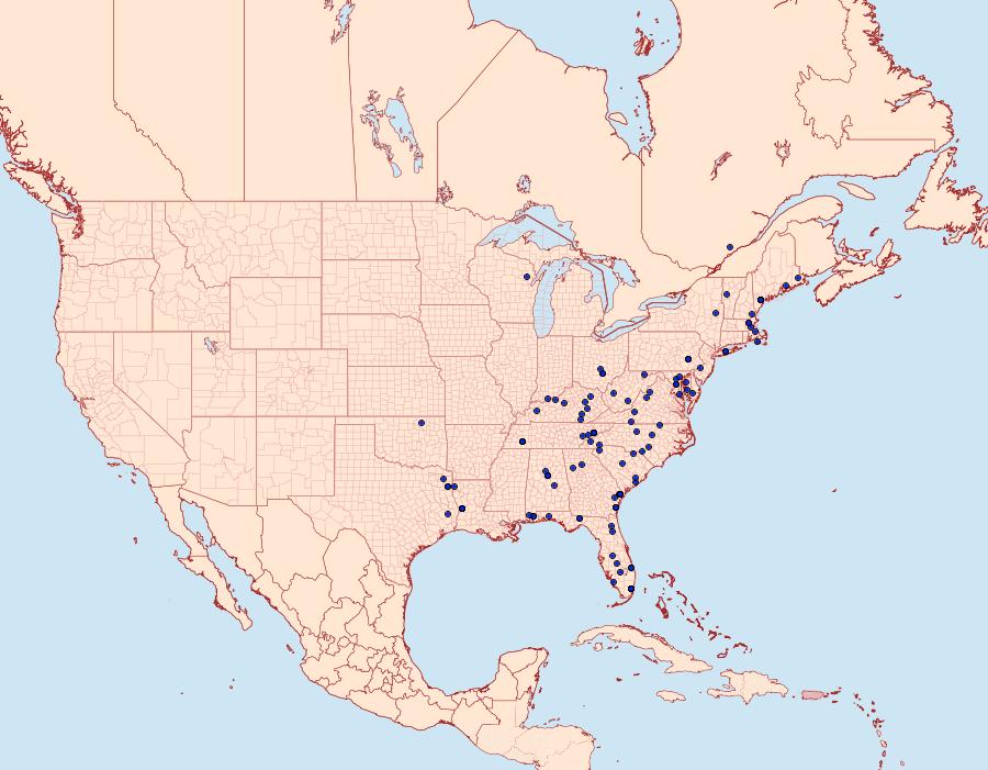 Distribution Data for Pococera robustella