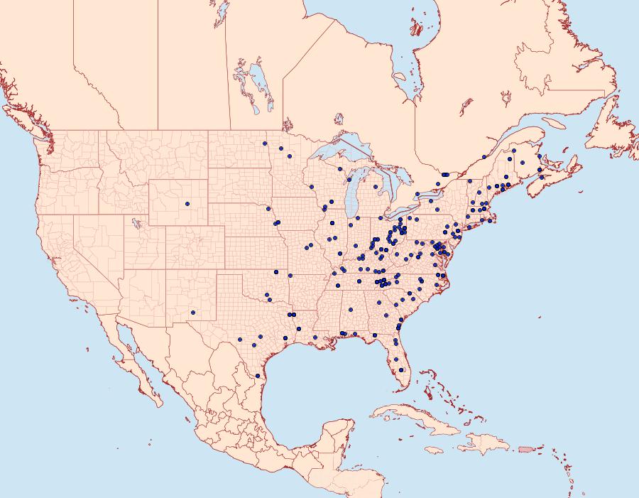 Distribution Data for Pococera asperatella