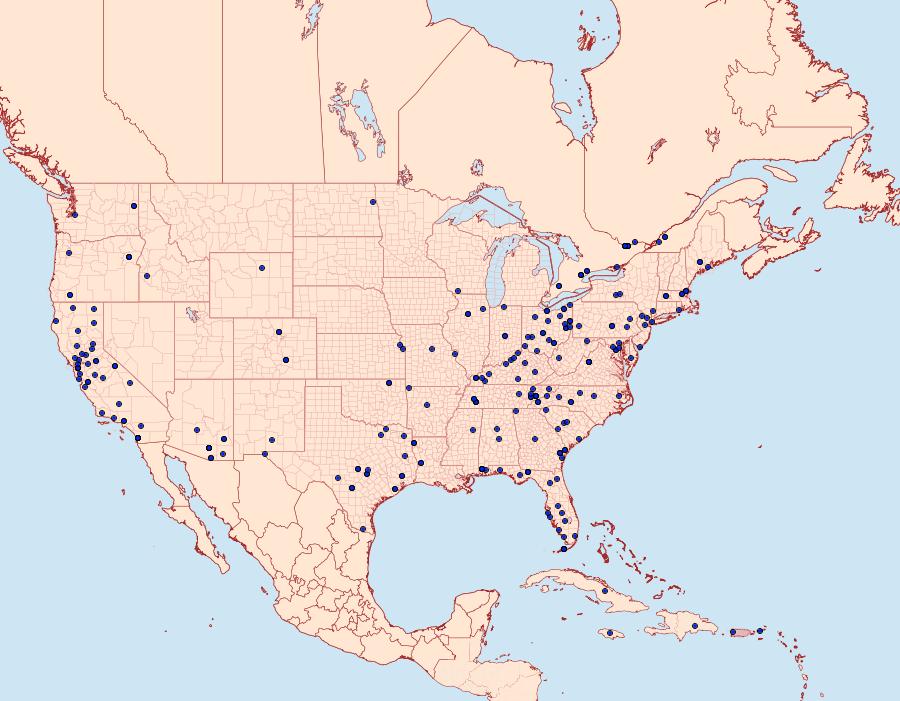 Distribution Data for Galleria mellonella