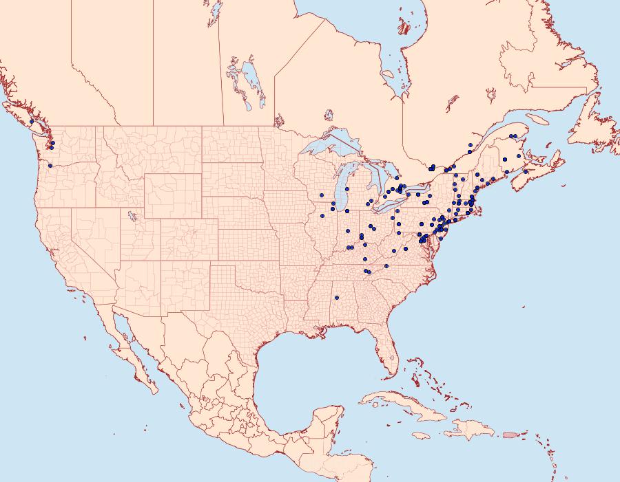 Distribution Data for Aphomia sociella