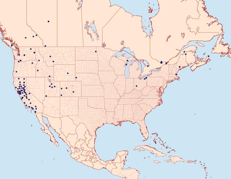 Distribution Data for Acrobasis tricolorella