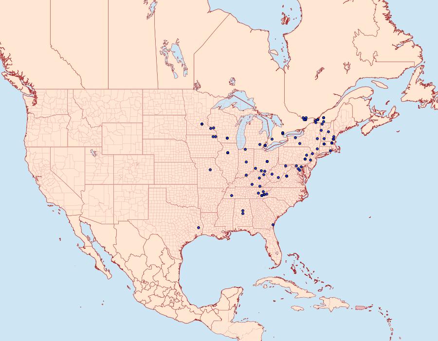 Distribution Data for Acrobasis angusella