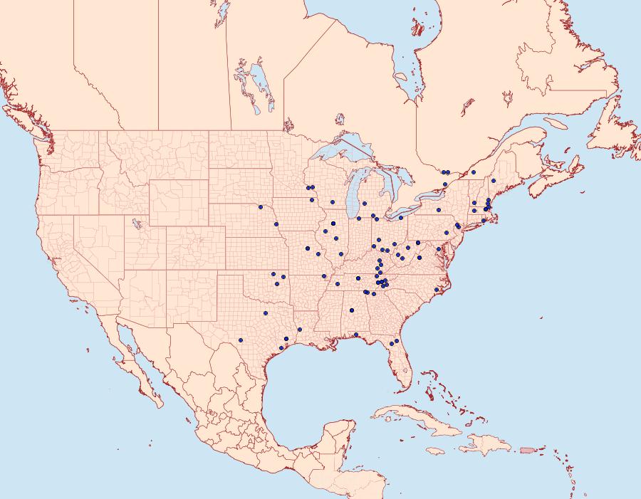 Distribution Data for Acrobasis demotella