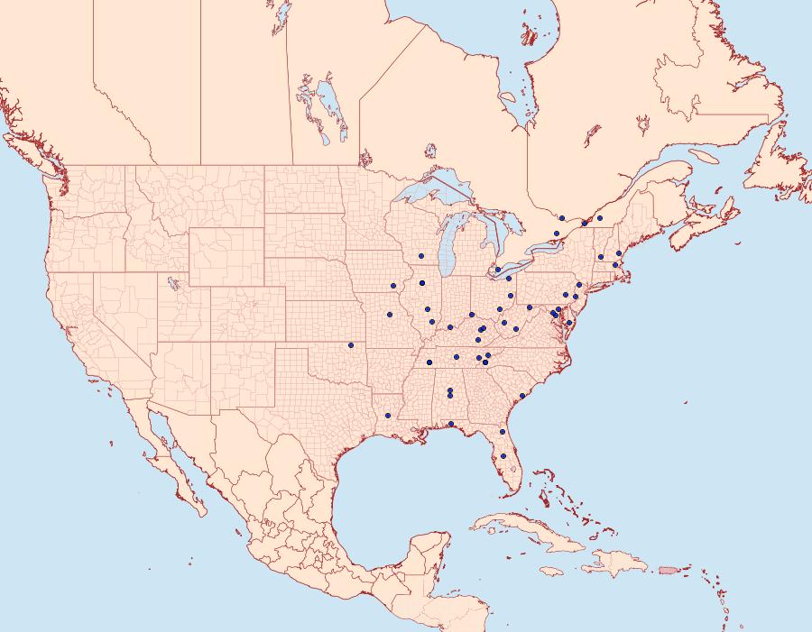 Distribution Data for Acrobasis tumidulella