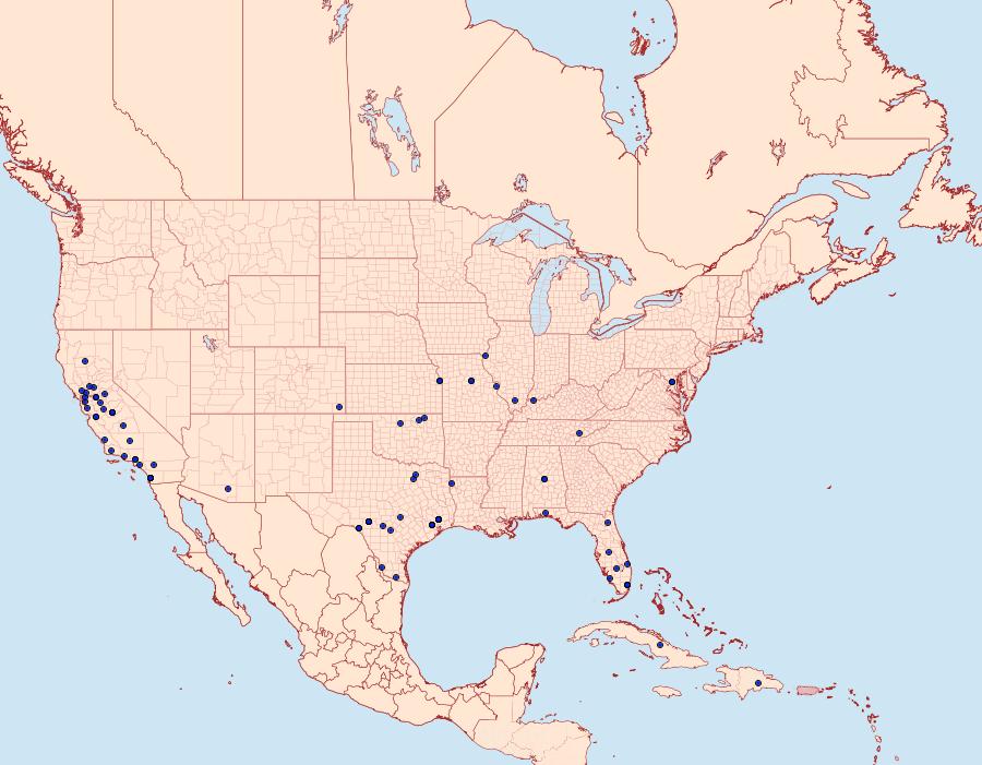 Distribution Data for Amyelois transitella