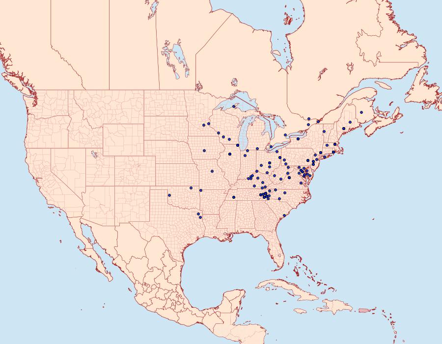 Distribution Data for Sciota subcaesiella