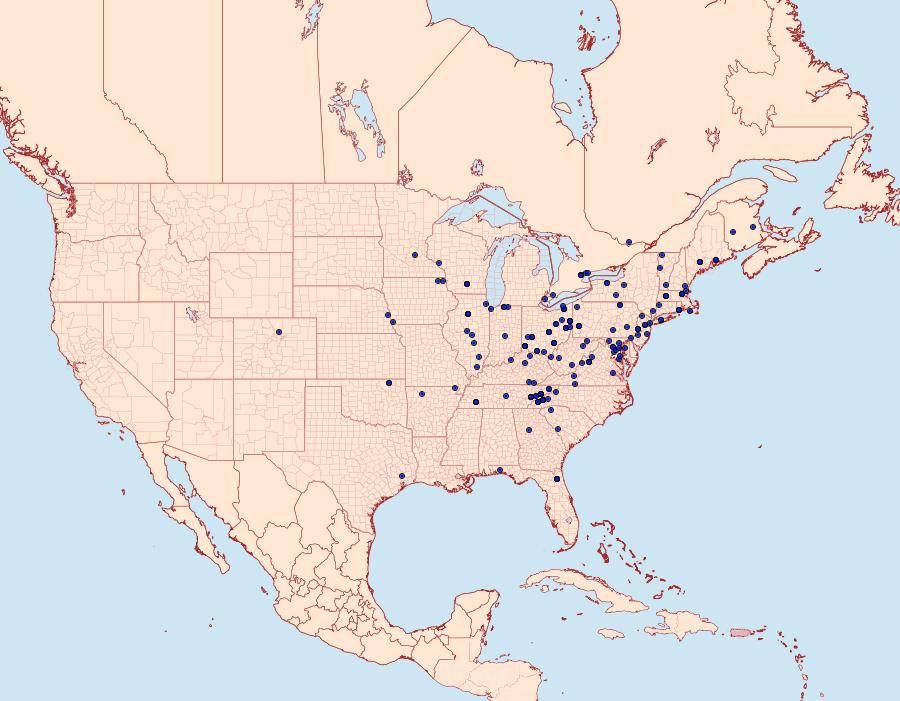 Distribution Data for Sciota virgatella